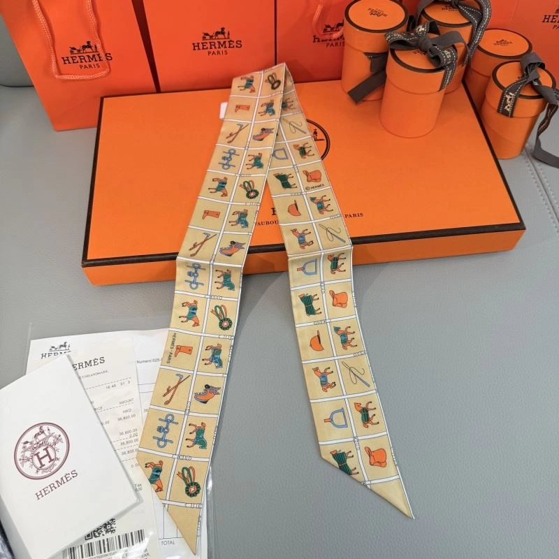 Hermes Silk StreetReady 272795