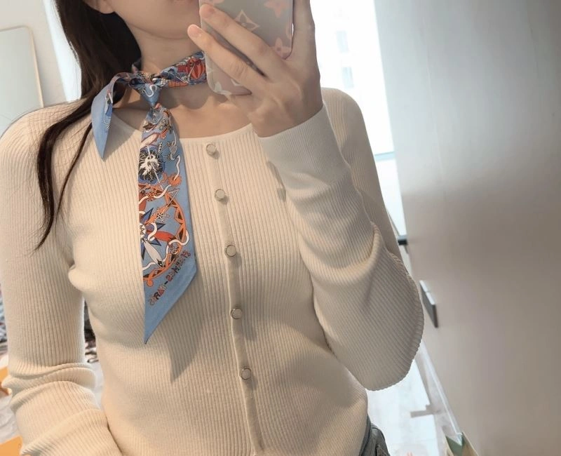Hermes Silk Chic 272799