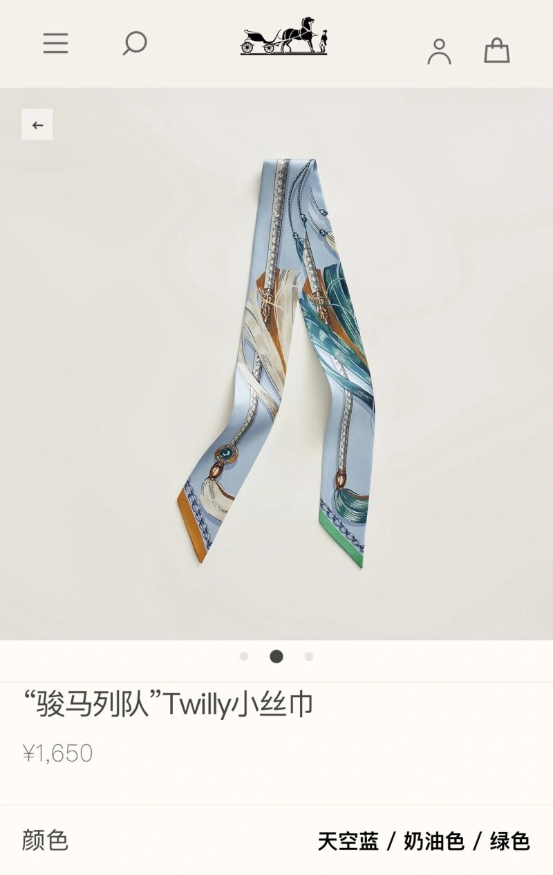 Chic Hermes Silk 272796