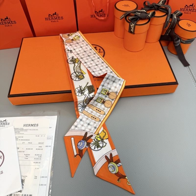 Hermes Silk Practical 272791