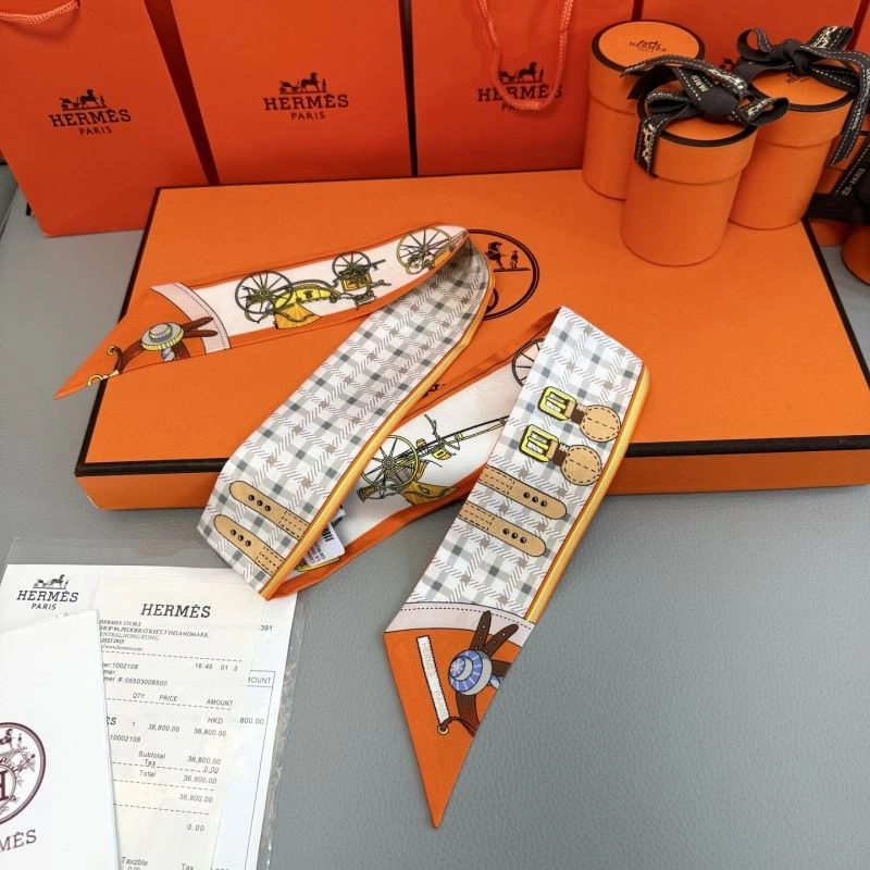 Hermes Silk Practical 272791