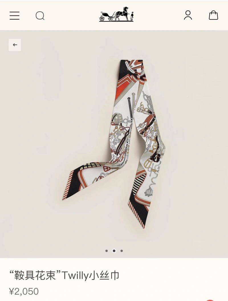 Hermes Silk Versatile 272769