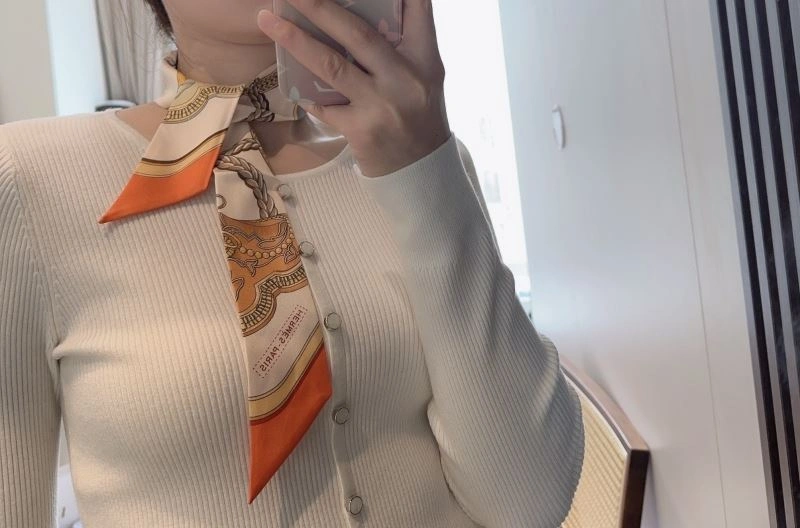 Casual Hermes Silk 272763