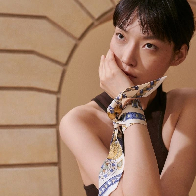 Hermes Silk EyeCatching 272745