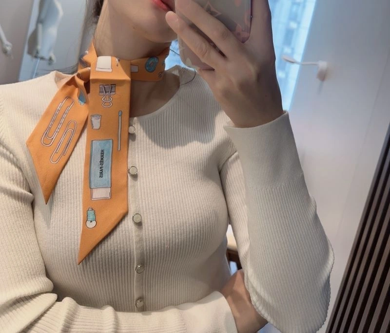 Hermes Silk Unisex 272731