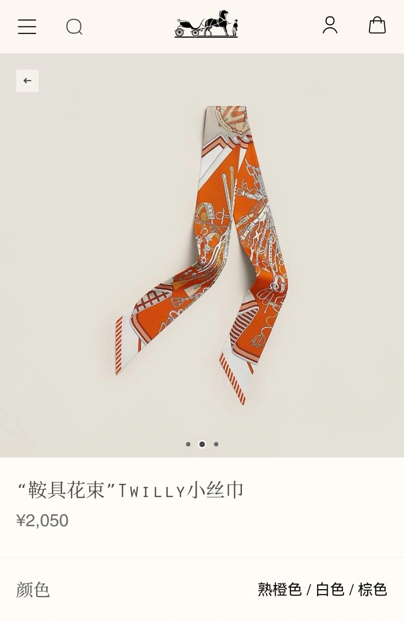 Popular Hermes Silk 272696