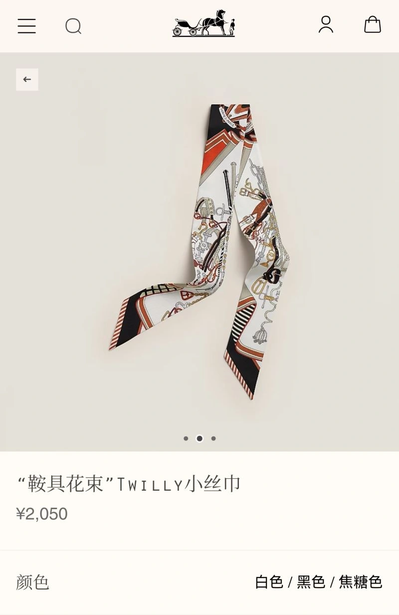 Hermes Silk TechFriendly 272694