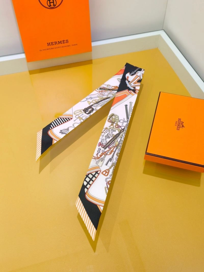 Hermes Silk TechFriendly 272694