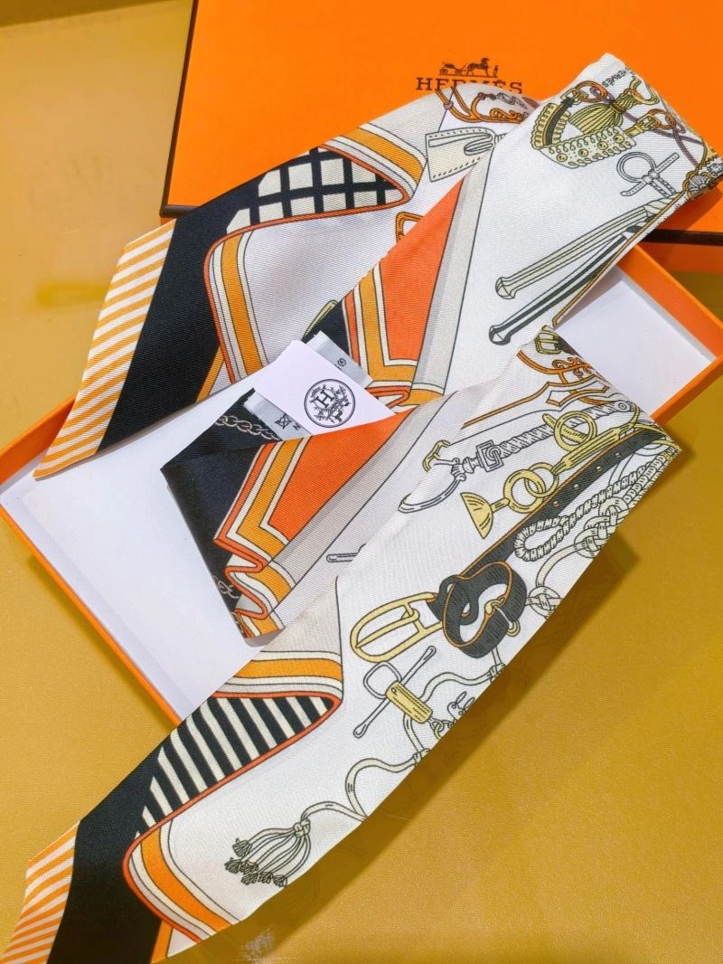 Hermes Silk TechFriendly 272694