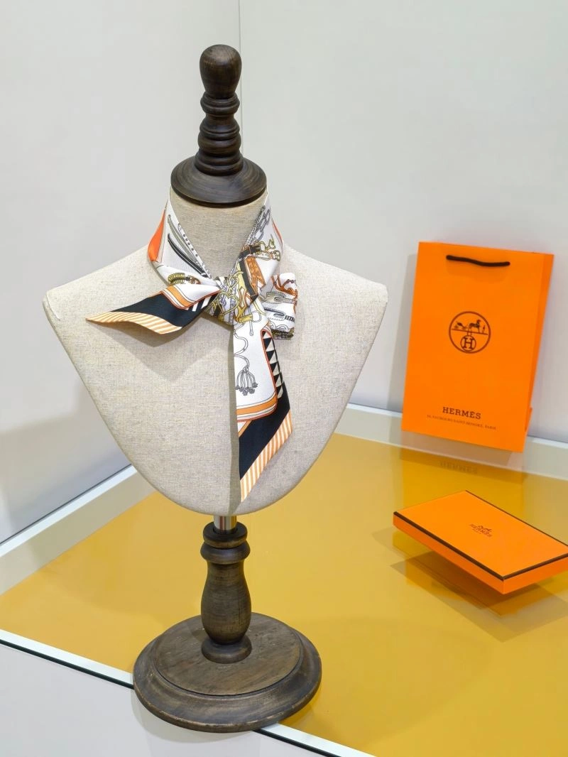 Hermes Silk TechFriendly 272694