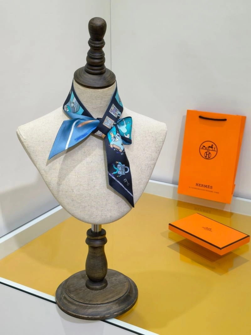 Hermes Silk Practical 272691