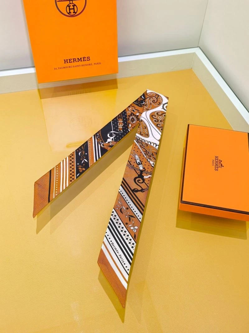 Hermes Silk StreetReady 272687