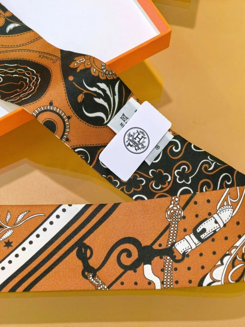 Hermes Silk StreetReady 272687
