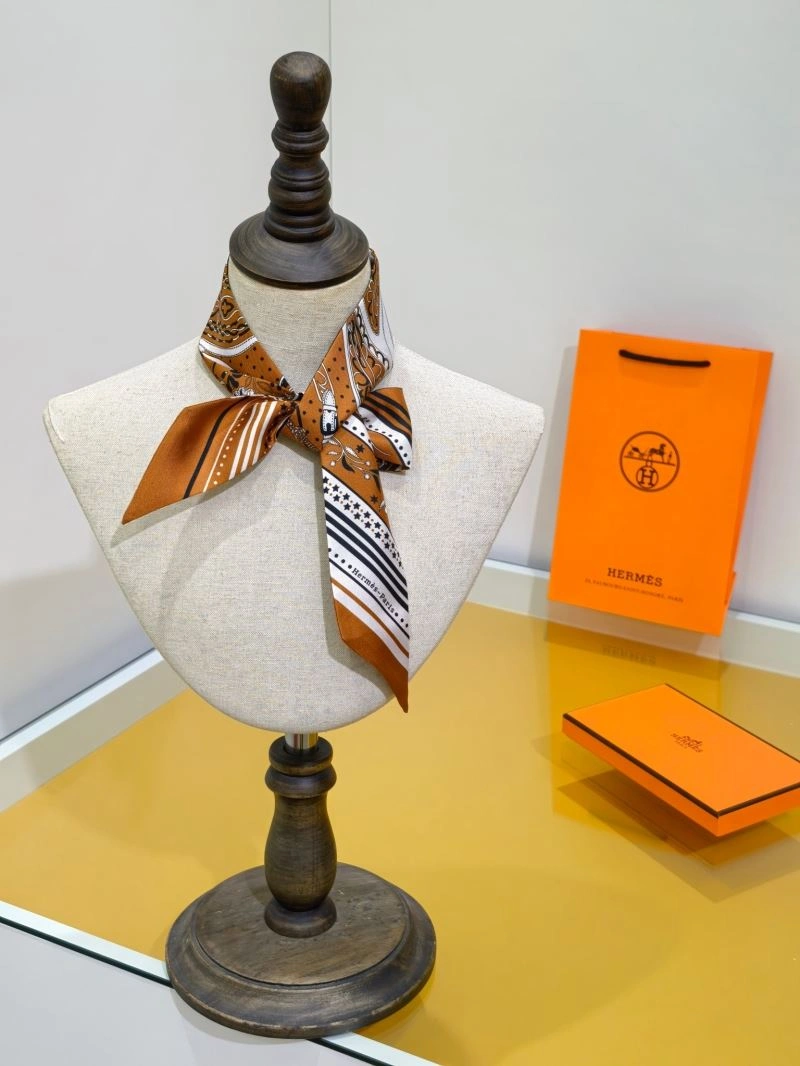 Hermes Silk StreetReady 272687