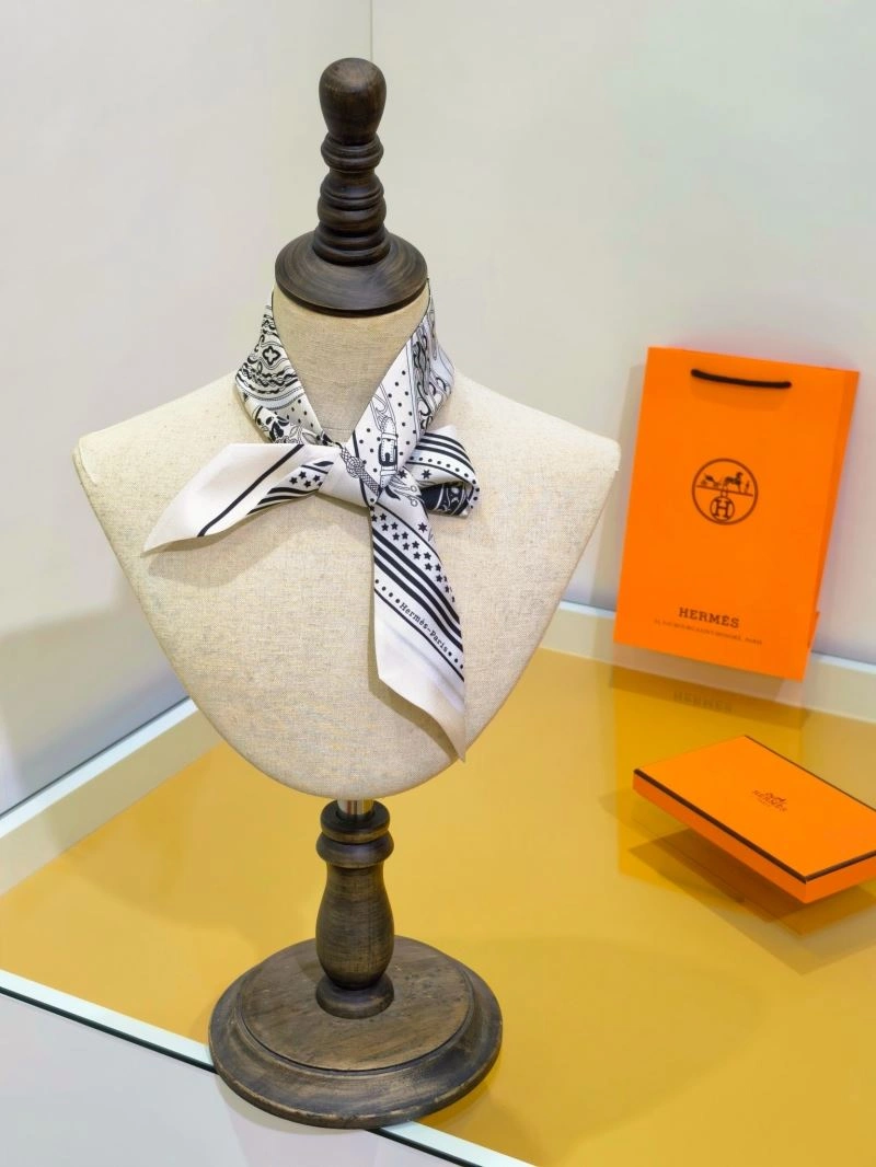 Hermes Silk EyeCatching 272684