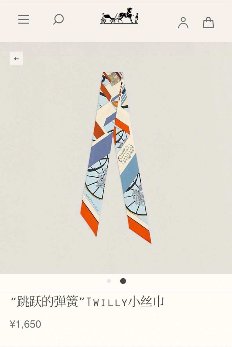 EyeCatching Hermes Silk 272685
