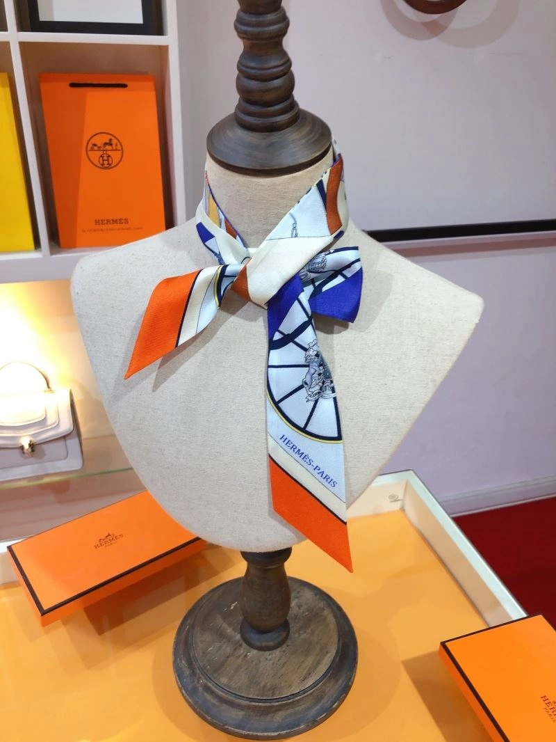 EyeCatching Hermes Silk 272685