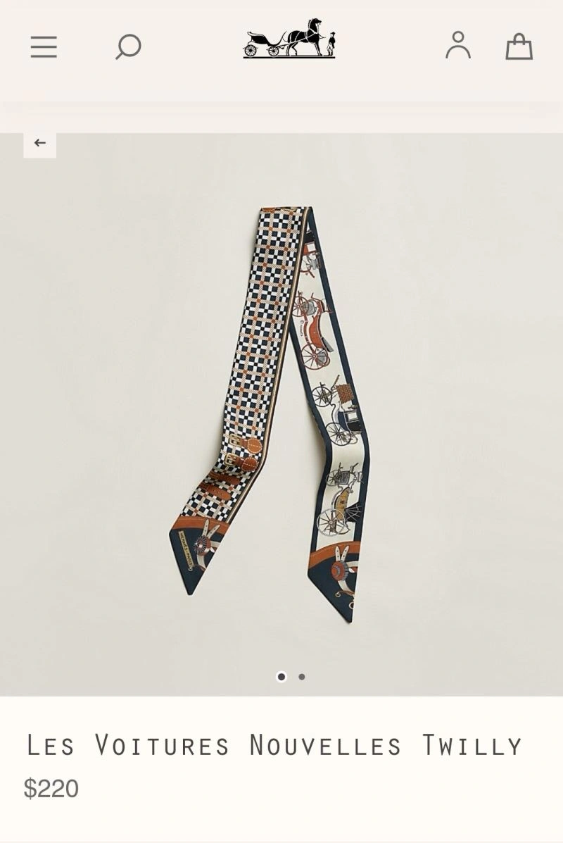 Hermes Silk FastDry 272664