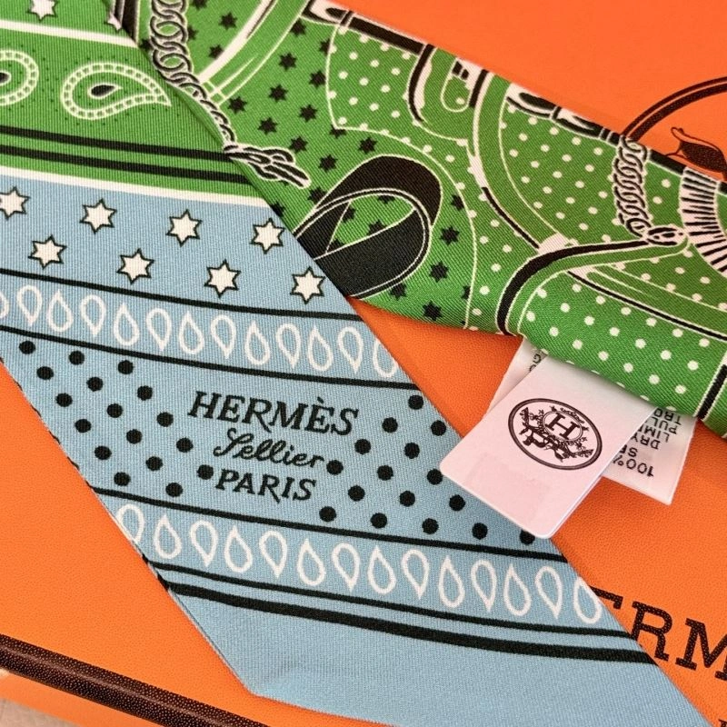 Refined Hermes Silk 272654