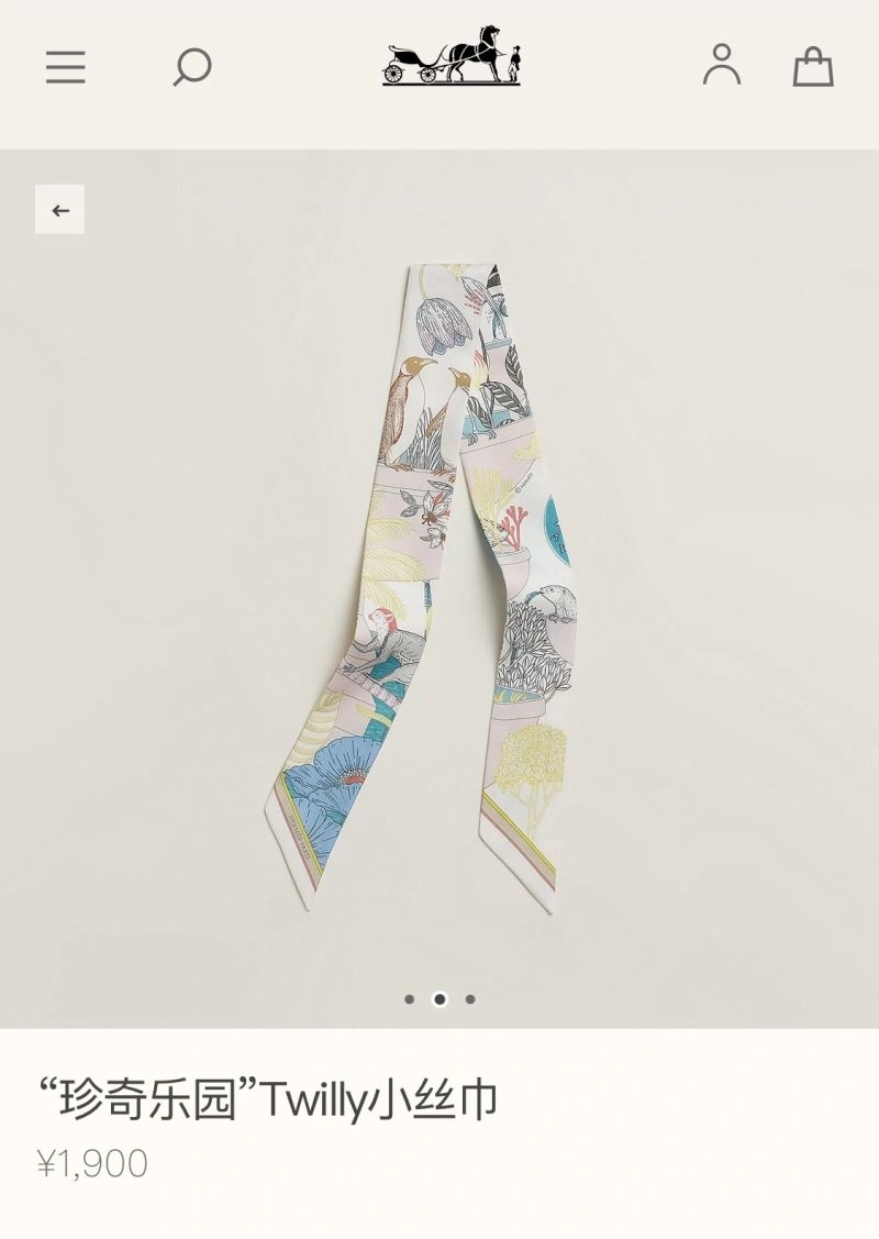 Fashionable Hermes Silk 272653