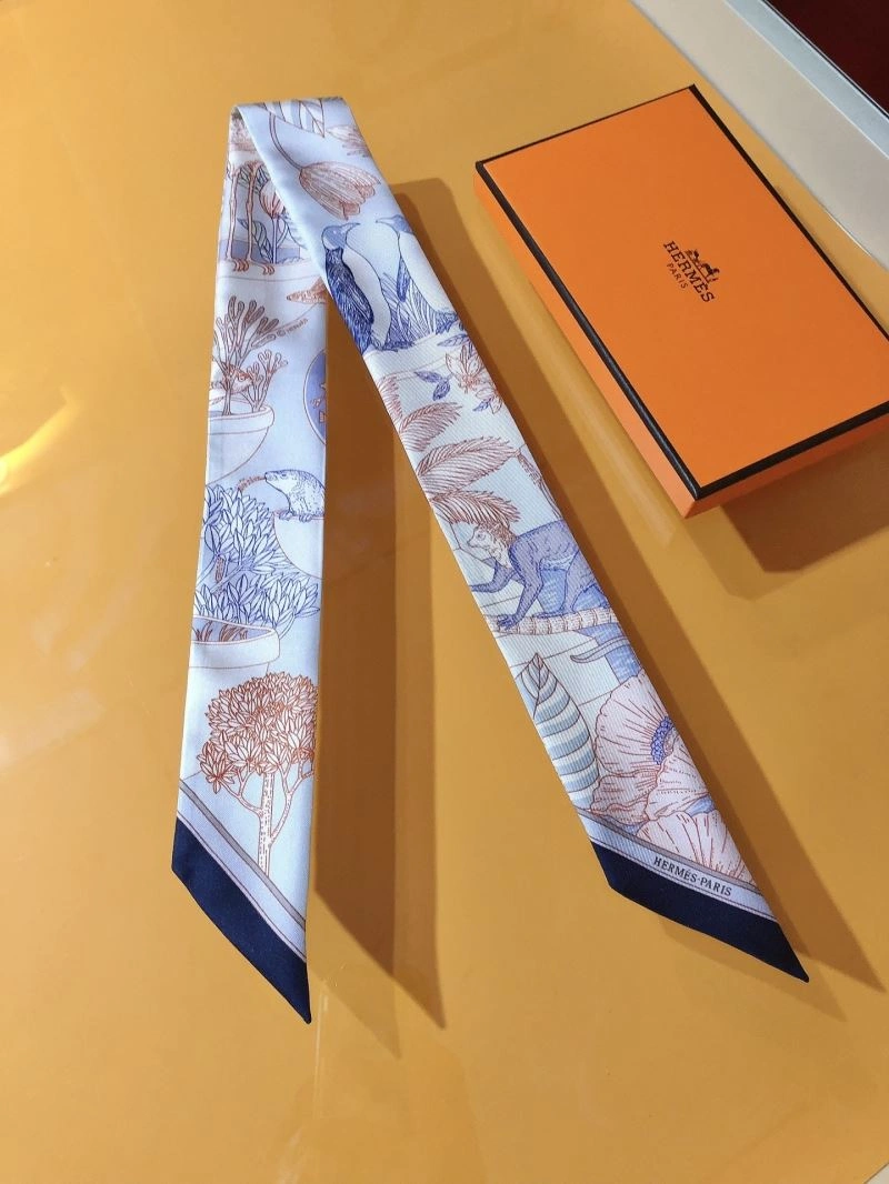 Hermes Silk Bright 272650