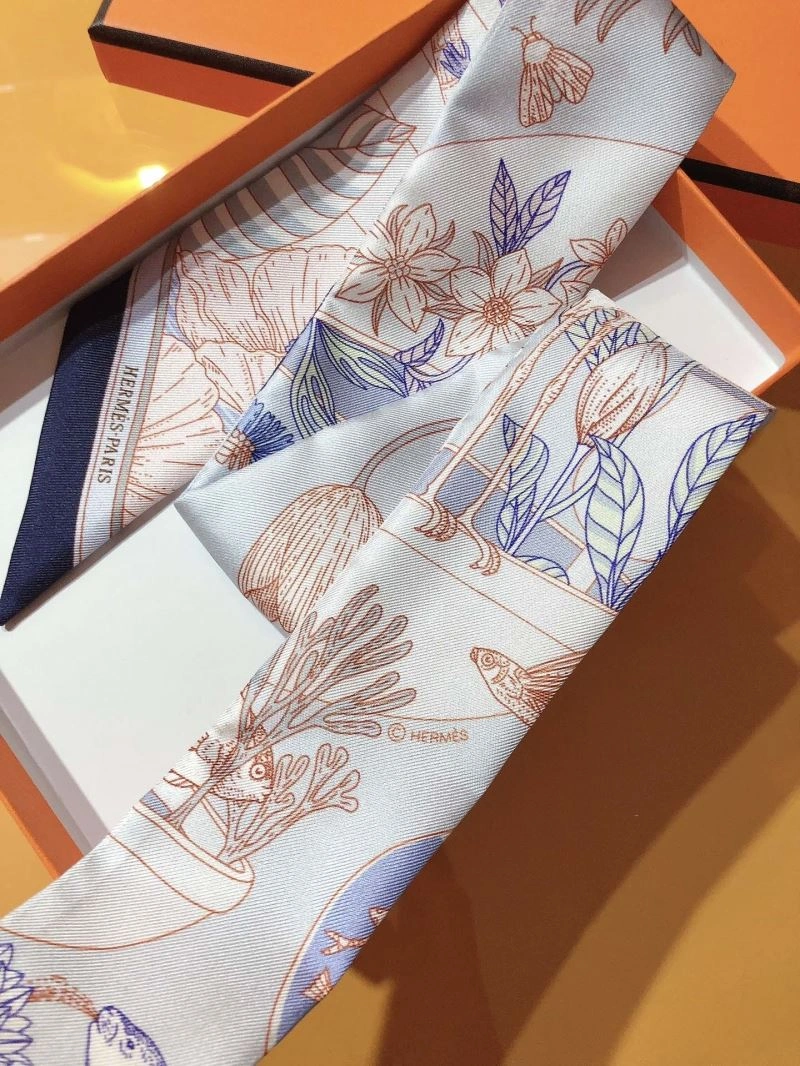 Hermes Silk Bright 272650