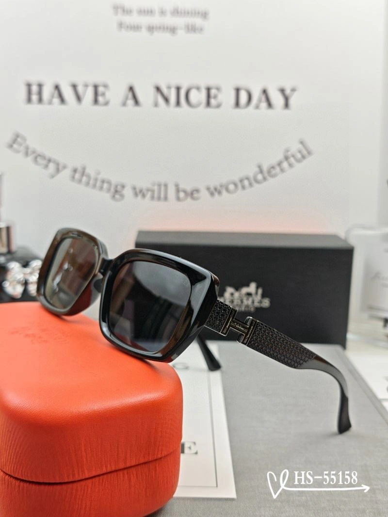 Hermes Sunglasses Effortless 280170