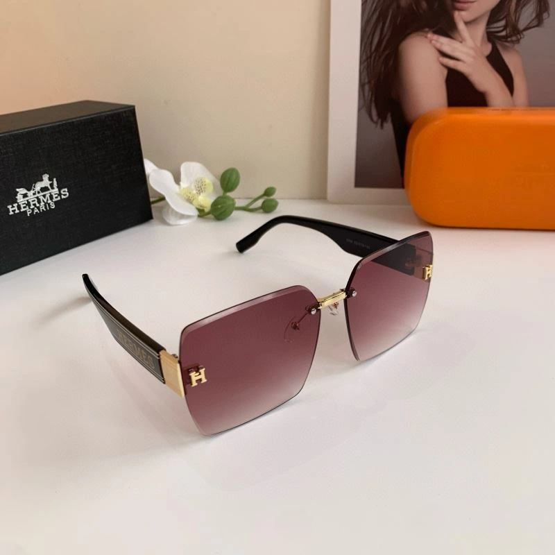 Thermal Hermes Sunglasses 280173