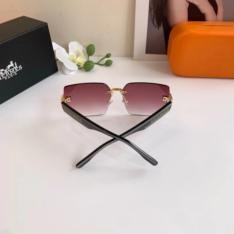Thermal Hermes Sunglasses 280173