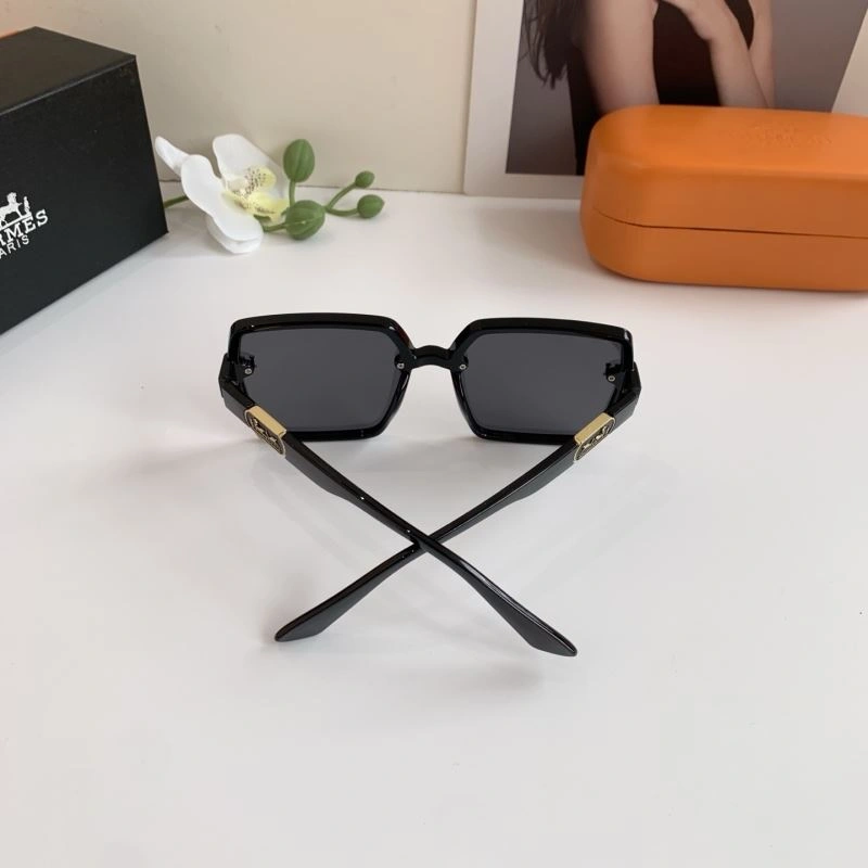 Hermes Sunglasses Practical 280167