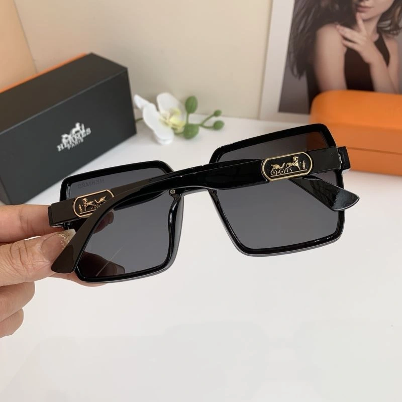 Hermes Sunglasses Practical 280167