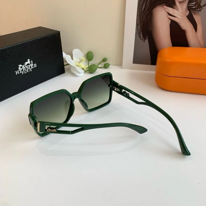 Lightweight Hermes Sunglasses 280163