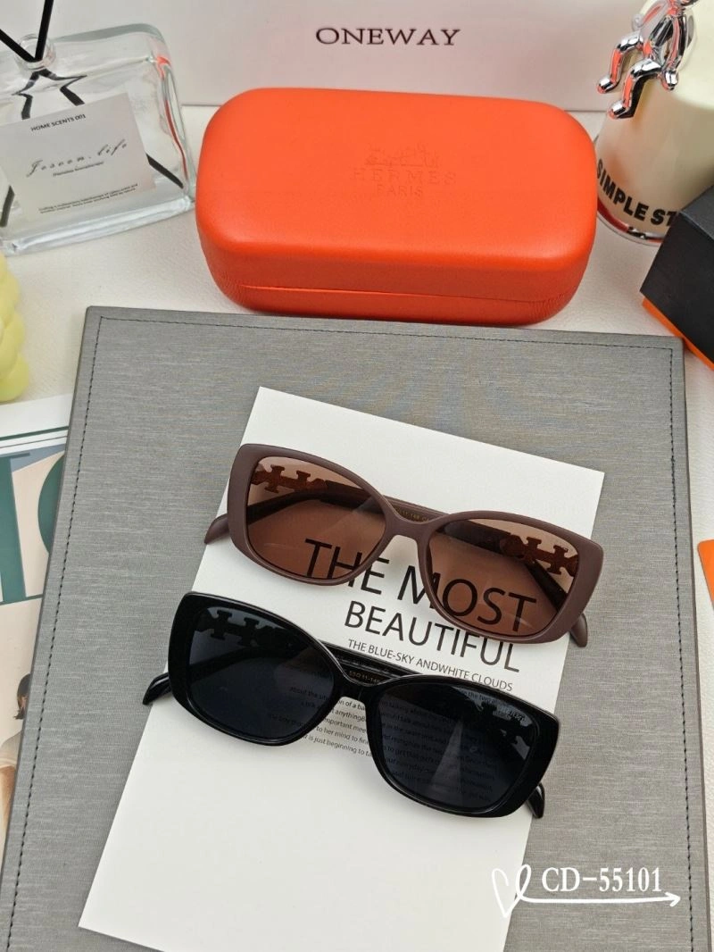 Resilient Hermes Sunglasses 280145