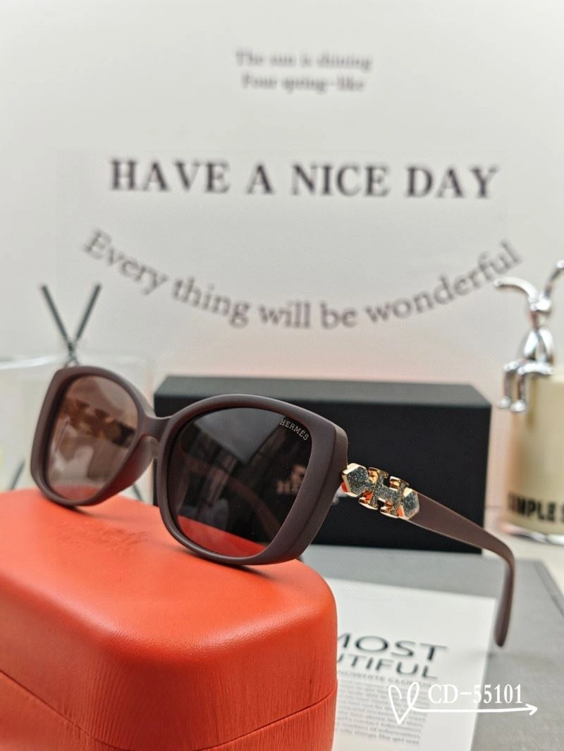 Resilient Hermes Sunglasses 280145