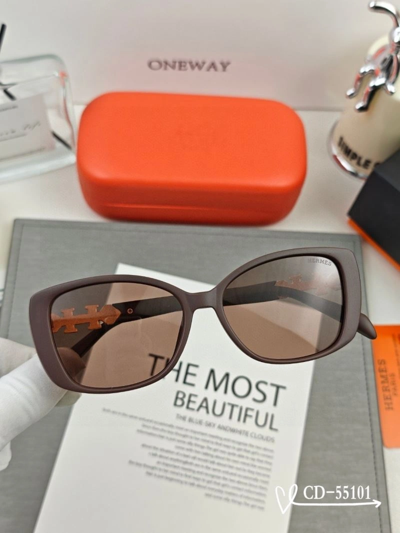 Resilient Hermes Sunglasses 280145