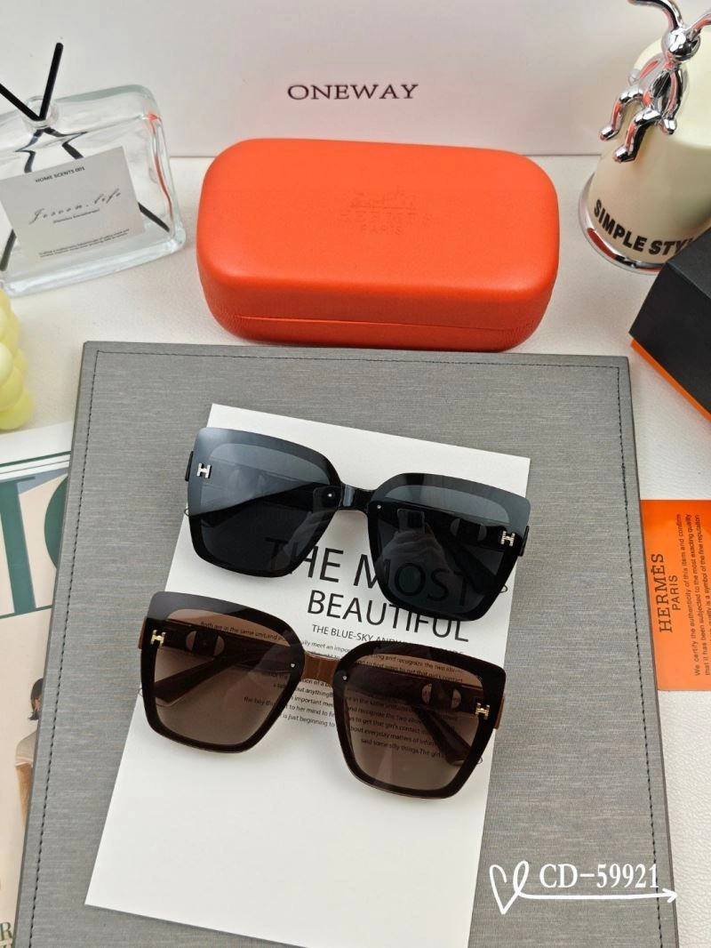 Flexible Hermes Sunglasses 280138