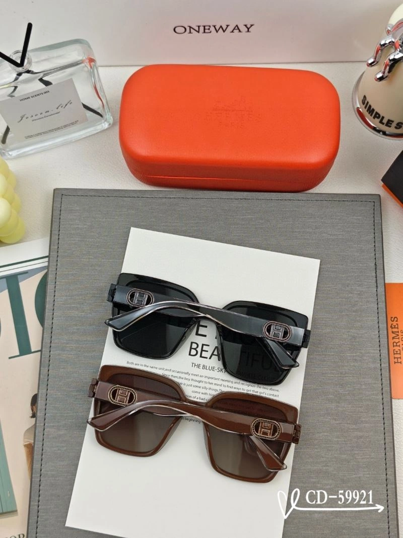 Flexible Hermes Sunglasses 280138