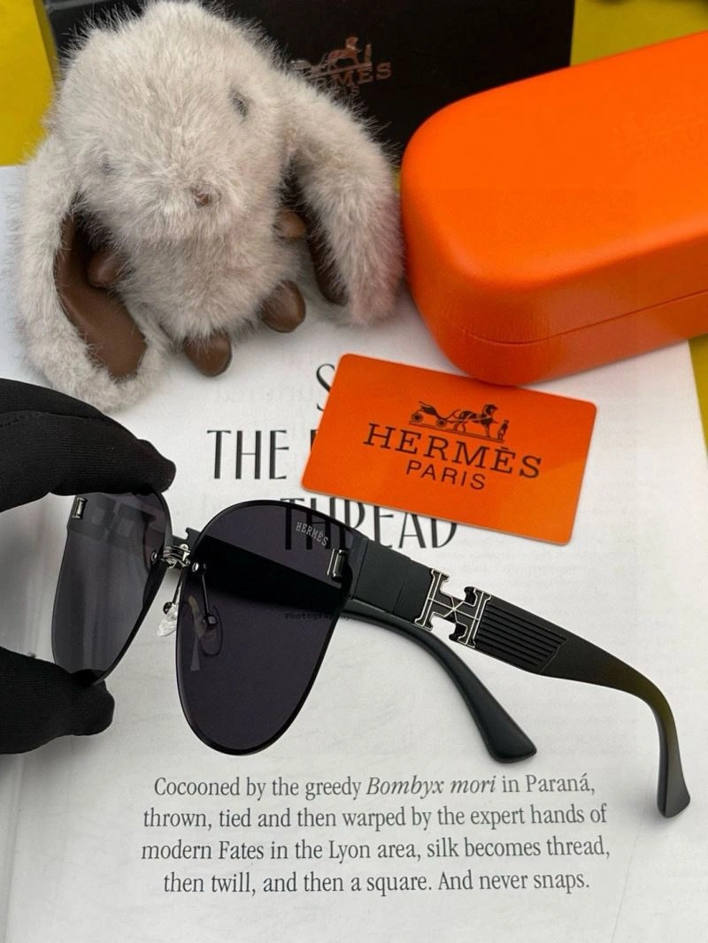 Effortless Hermes Sunglasses 280221