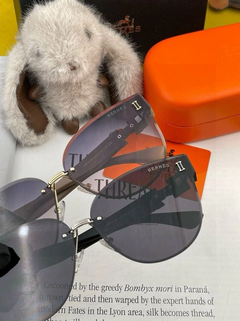 Effortless Hermes Sunglasses 280221