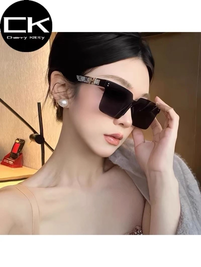 Functional Hermes Sunglasses 280210