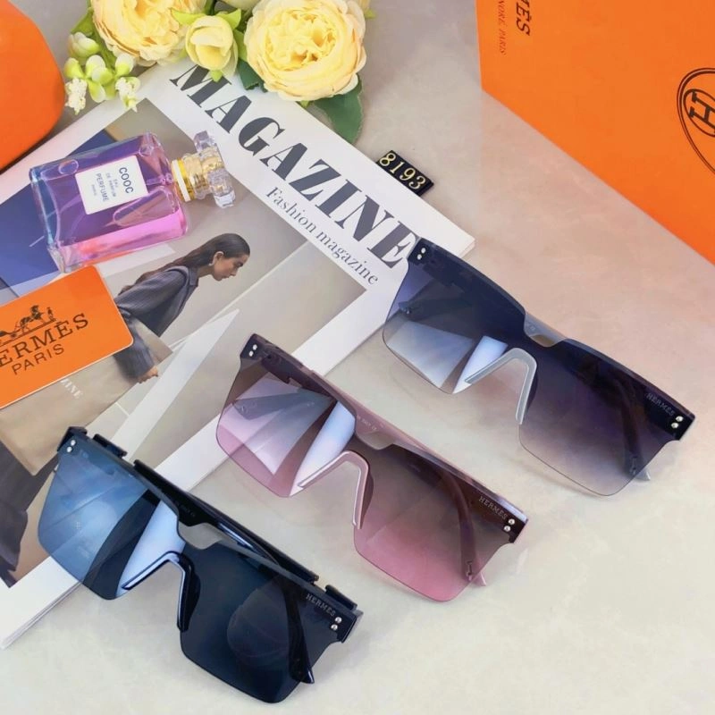 Functional Hermes Sunglasses 280210