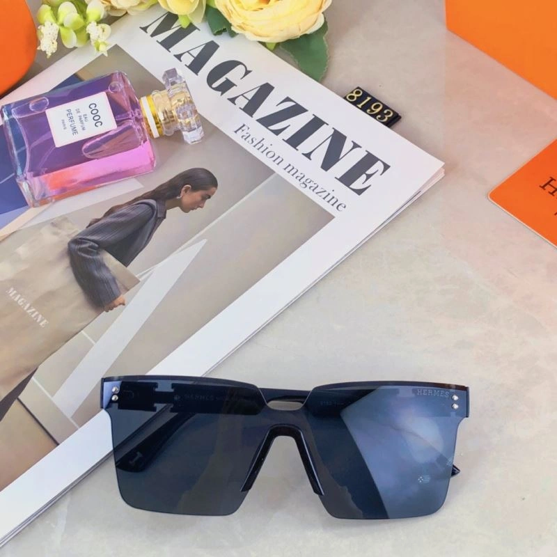Functional Hermes Sunglasses 280210