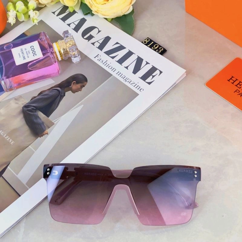Functional Hermes Sunglasses 280210