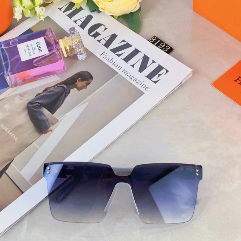 Functional Hermes Sunglasses 280210