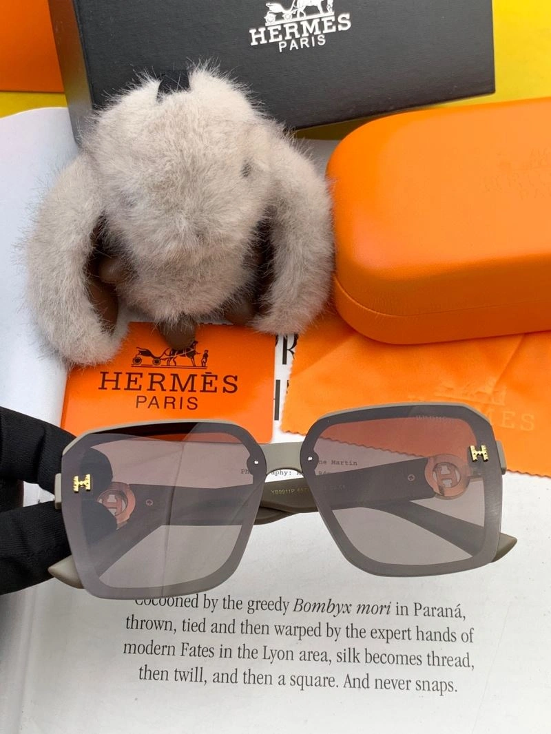 Hermes Sunglasses ModernLook 280211