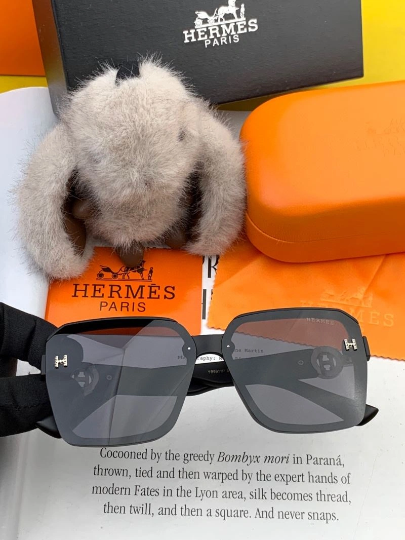 Hermes Sunglasses ModernLook 280211