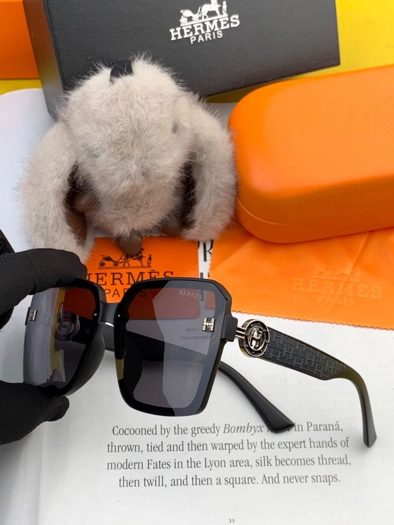Hermes Sunglasses ModernLook 280211