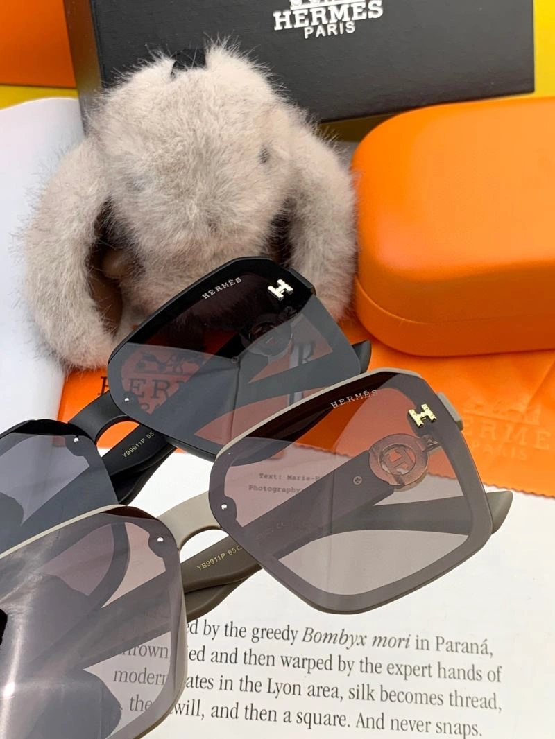 Hermes Sunglasses ModernLook 280211