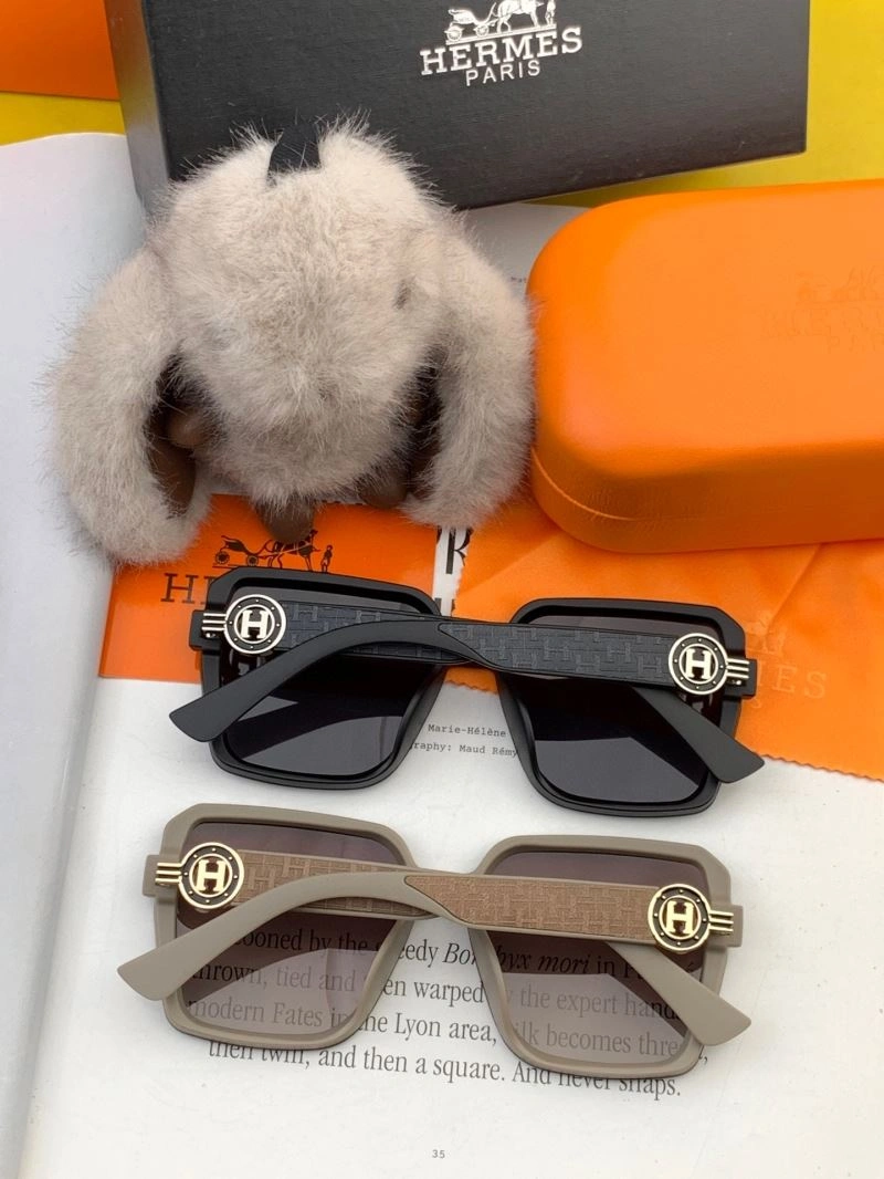 Hermes Sunglasses ModernLook 280211