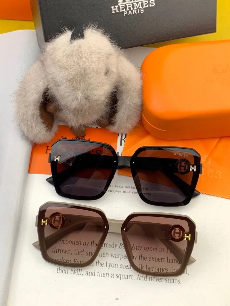 Hermes Sunglasses ModernLook 280211